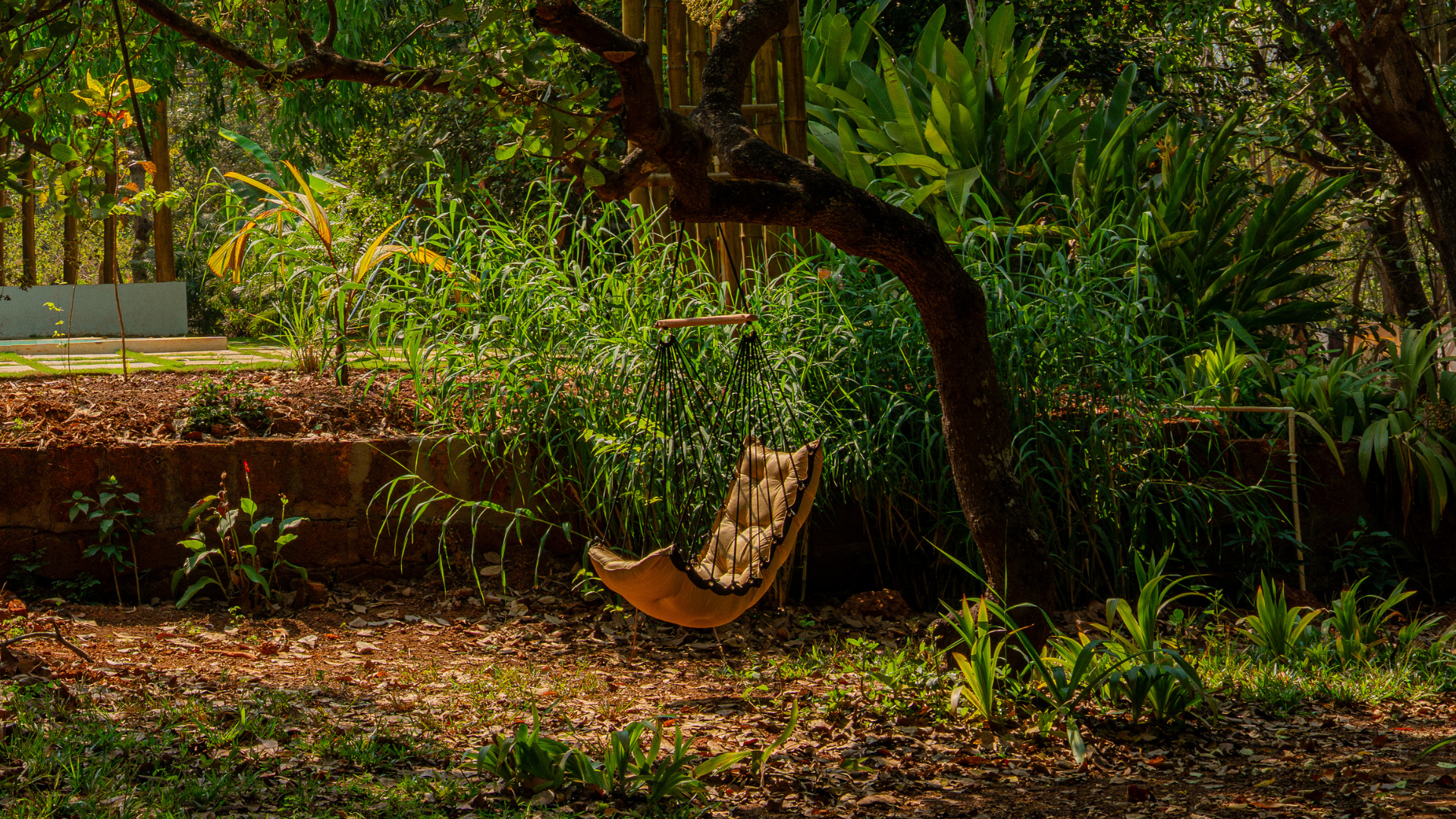 ITAÍBA, Goa