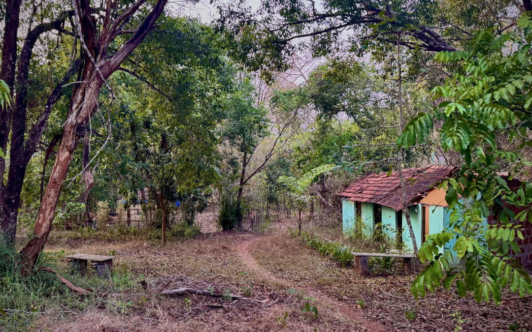ITAÍBA, Goa